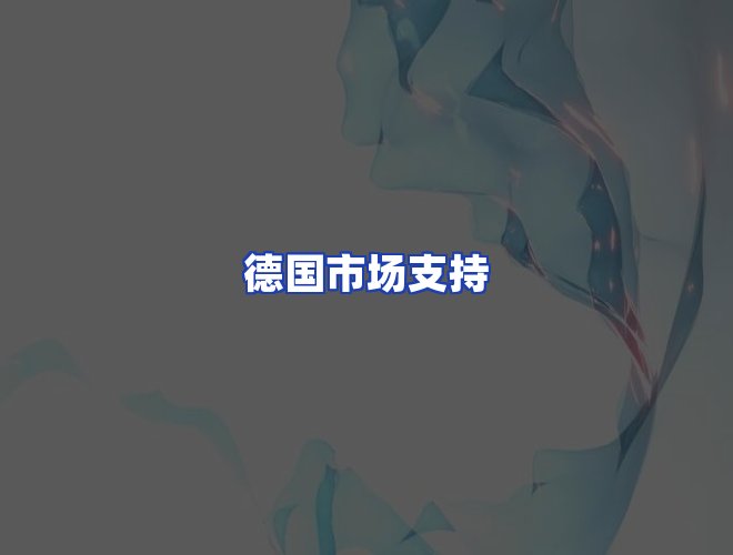 专业团队